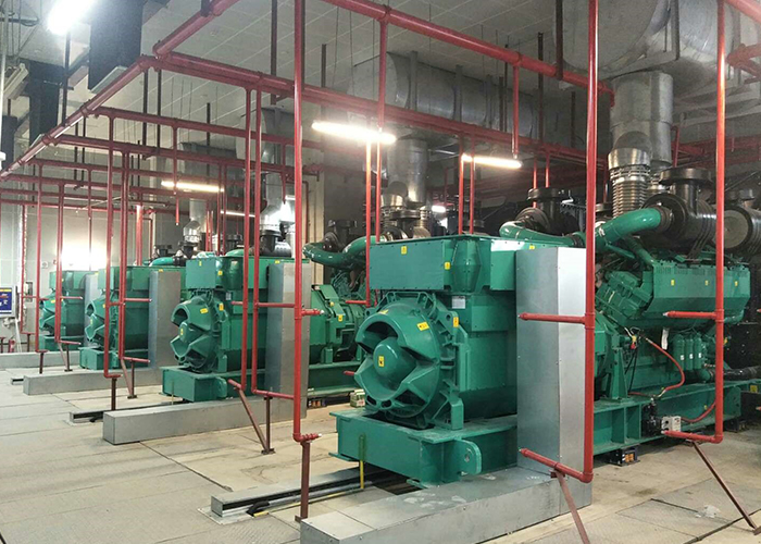 廊坊聯通數據中心康明斯柴油發電機組